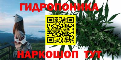 а пвп мука Свободный
