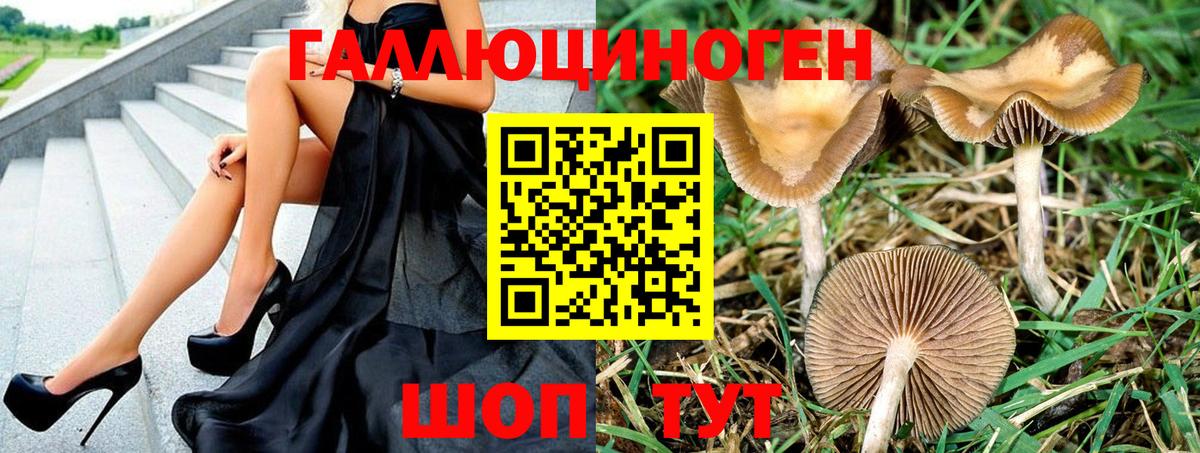 Нягань  Галлюциногенные грибы Psilocybe  Галлюциногенные грибы мухоморы  Вход с VPN 